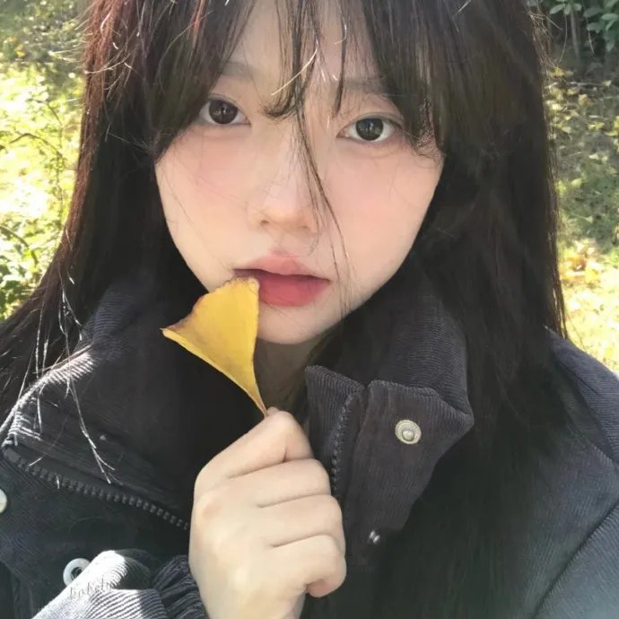 雾光片单